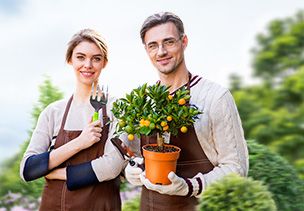 Проект «под ключ» где можно заказать по низкой цене  в Петрозаводске