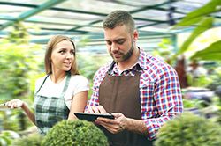 Дендроплан - верное планирование территории и решения этой задачи на уровне  в Петрозаводске