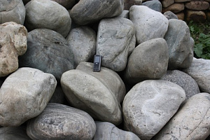 Kamenclub.ru: Речной валун Кабанчик фр.300-500 мм.  купить в Петрозаводске крупный природный камень галька серый, темно-серый речной валун галечник масштабный 7000 руб/т   фото КАМЕНЬ КЛУБ