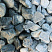 Kamenclub.ru: Щебень галтованный зеленый (змеевик) фр. 50-100 мм.  купить в Петрозаводске галтовка мраморная зеленый, салатовый мрамор 12 500 руб/т   фото КАМЕНЬ КЛУБ