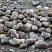Kamenclub.ru: Речной валун (Ассорти) фр.100-300 мм.  купить в Петрозаводске галечник серый, темно-серый, светло-серый речная галька крупных размеров 4200 руб/т   фото КАМЕНЬ КЛУБ