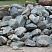 Kamenclub.ru: Гранит скальник (серо-зеленый) фр. 100-500 мм.  купить в Петрозаводске гранит зеленый, серый, салатовый крупный ландшафтный валун 6 000 руб/т   фото КАМЕНЬ КЛУБ