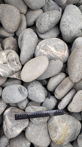 Kamenclub.ru: Галька речная окат (темно-серая) фр. 70-150 мм. купить  в Петрозаводске галька речная темно-серая, синяя, серая речная галька округлая  8000 руб/т   фото КАМЕНЬ КЛУБ