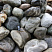 Kamenclub.ru: Речной валун Кабанчик фр.300-500 мм.  купить в Петрозаводске крупный природный камень галька серый, темно-серый речной валун галечник масштабный 7000 руб/т   фото КАМЕНЬ КЛУБ