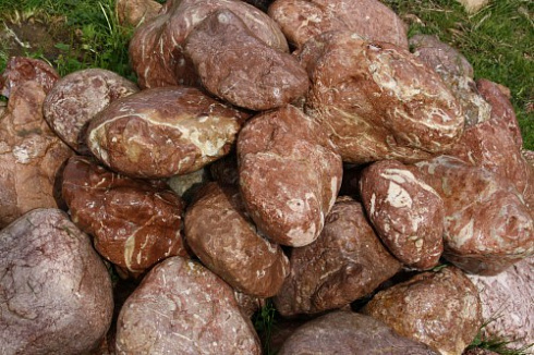 Kamenclub.ru: Розовый валунчик фр.100-300 мм.  купить в Петрозаводске крупный природный камень розовый, серый молочный красный речной галечник природный 7850 руб/т   фото КАМЕНЬ КЛУБ