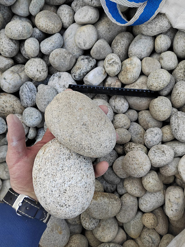 Kamenclub.ru: Галька речная окат (серо-белая) фр. 70-120 мм купить  в Петрозаводске галька галечник бело-серая, серо-белая, серая, белая речная природная галька  8000 руб/т   фото КАМЕНЬ КЛУБ