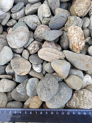 Kamenclub.ru: Галька речная окат (пестрая) фр. 20-40 мм. купить  в Петрозаводске галька речная пестрая, серая, серые оттенки галька речная окатанная округлая 5000 руб/т   фото КАМЕНЬ КЛУБ