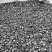 Kamenclub.ru: Щебень крошка черный (мрамор) фр. 10-20 мм.  купить в Петрозаводске мрамор черный с белыми прожилками, черный, белый каменная ландшафтная декоративная крошка щебня 11000 руб/т   фото КАМЕНЬ КЛУБ