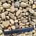 Kamenclub.ru: Галька речная окат рыжая фр. 20-40 мм. купить  в Петрозаводске галька речная окатанная рыжая желтая серая округлая речная галька 5000 руб/т   фото КАМЕНЬ КЛУБ