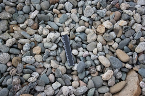 Kamenclub.ru: Галька речная окат (пестрая) фр. 20-40 мм. купить  в Петрозаводске галька речная пестрая, серая, серые оттенки галька речная окатанная округлая 5000 руб/т   фото КАМЕНЬ КЛУБ