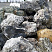 Kamenclub.ru: Черный гранит - кварцит фр. 100-500 мм.  купить в Петрозаводске мрамор гранит черный с белыми прожилками, серый, белый валун скальный колотый 7000 руб/т   фото КАМЕНЬ КЛУБ