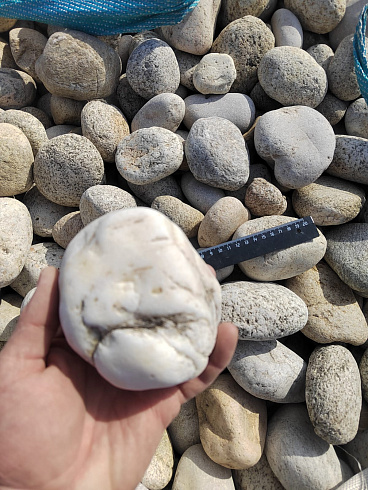 Kamenclub.ru: Галька речная окат (серо-белая) фр. 70-120 мм купить  в Петрозаводске галька галечник бело-серая, серо-белая, серая, белая речная природная галька  8000 руб/т   фото КАМЕНЬ КЛУБ