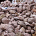 Kamenclub.ru: Розовый валунчик фр.100-300 мм.  купить в Петрозаводске крупный природный камень розовый, серый молочный красный речной галечник природный 7850 руб/т   фото КАМЕНЬ КЛУБ