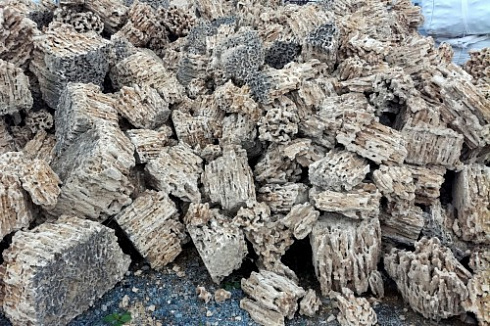 Kamenclub.ru: Крымский природный меотис фр. 100-500 мм.  купить в Петрозаводске меотис бежевый рыжий молочный желтый ракушечник 4 500 руб/т   фото КАМЕНЬ КЛУБ