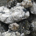 Kamenclub.ru: Черный гранит - кварцит фр. 100-500 мм.  купить в Петрозаводске мрамор гранит черный с белыми прожилками, серый, белый валун скальный колотый 7000 руб/т   фото КАМЕНЬ КЛУБ