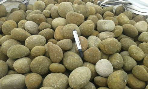 Kamenclub.ru: Песчаник ядра, фр. 100-300 мм  купить в Петрозаводске песчаник бежевый серый рыжий речная галька 5 000 руб/т   фото КАМЕНЬ КЛУБ