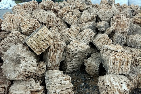 Kamenclub.ru: Крымский природный меотис фр. 100-500 мм.  купить в Петрозаводске меотис бежевый рыжий молочный желтый ракушечник 4 500 руб/т   фото КАМЕНЬ КЛУБ