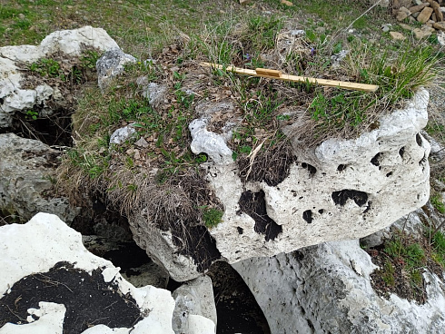 Kamenclub.ru: Выветренный известняк со мхом фр. 100-500 мм.  купить в Петрозаводске известняк серый белый зеленый валун известняковый крупный 10000 руб/т   фото КАМЕНЬ КЛУБ