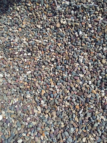 Kamenclub.ru: Галька речная окат цветная фр.5-10 мм. купить  в Петрозаводске галька речная белый, серый, красноватый, синий, темно-серый речная окатанная галька декоративная 6800 руб/т   фото КАМЕНЬ КЛУБ