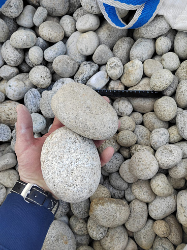 Kamenclub.ru: Галька речная окат (серо-белая) фр. 70-120 мм купить  в Петрозаводске галька галечник бело-серая, серо-белая, серая, белая речная природная галька  8000 руб/т   фото КАМЕНЬ КЛУБ