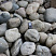 Kamenclub.ru: Темно-серый валунчик фр.100-300 мм.  купить в Петрозаводске крупный природный камень серый, темно-серый, светло-серый речная галька большого размера окатанная 4500 руб/т   фото КАМЕНЬ КЛУБ