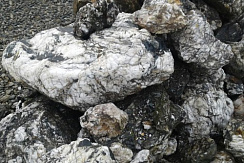 Kamenclub.ru: Черный гранит - кварцит фр. 500-1000 мм.  купить в Петрозаводске гранит кварцит черный серый белый скальный колотый валун 9750 руб/т   фото КАМЕНЬ КЛУБ