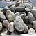 Kamenclub.ru: Речной валун (Ассорти) фр.100-300 мм.  купить в Петрозаводске галечник серый, темно-серый, светло-серый речная галька крупных размеров 4200 руб/т   фото КАМЕНЬ КЛУБ