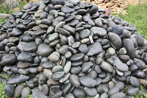 Kamenclub.ru: Темно-серый валунчик фр.100-300 мм.  купить в Петрозаводске крупный природный камень серый, темно-серый, светло-серый речная галька большого размера окатанная 4500 руб/т   фото КАМЕНЬ КЛУБ