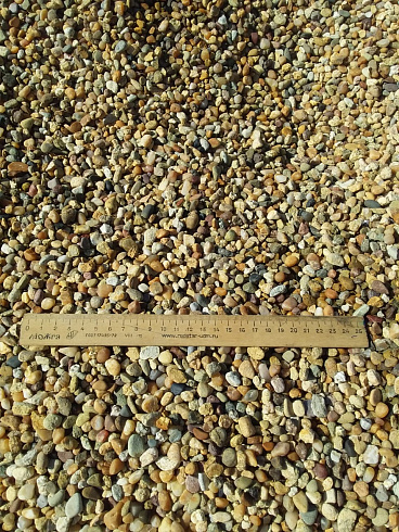 Kamenclub.ru: Галька окат (серо-желтая) фр.5-10 мм. купить  в Петрозаводске галька речная рыжий, желтый, рыжий, серо-желтый речная окатанная галька декоративная 5000 руб/т   фото КАМЕНЬ КЛУБ
