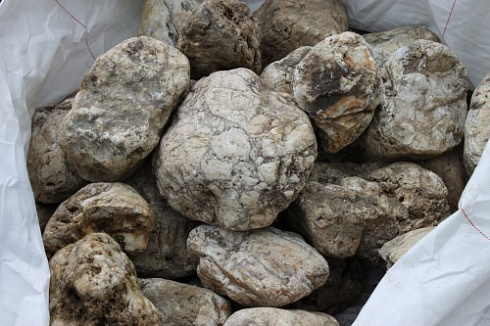 Kamenclub.ru: Кварцевый валунчик фр.100-300 мм.  купить в Петрозаводске кварц белый, бежевый молочный рыжий крупный природный камень галечник 7850 руб/т   фото КАМЕНЬ КЛУБ