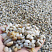 фото Галька крымская жемчужная фр. 10-20 мм. в интернет-портале КАМЕНЬ КЛУБ