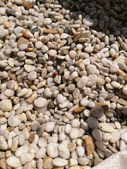 Галька Крымская Жемчужина фр. 10-20 мм.  купить в Петрозаводске фото Камень Клуб