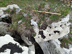 Kamenclub.ru: Выветренный известняк (степной) фр. 500-1500 мм.  купить в Петрозаводске    10000 руб/т   фото КАМЕНЬ КЛУБ