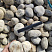 Kamenclub.ru: Галька речная окат (серо-белая) фр. 70-120 мм купить  в Петрозаводске галька галечник бело-серая, серо-белая, серая, белая речная природная галька  8000 руб/т   фото КАМЕНЬ КЛУБ