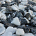 Kamenclub.ru: Мраморная крошка (щебень галтованный микс:: белый-черный) фр.20-40 мм  купить в Петрозаводске мрамор белый, черный мраморный галтованный щебень 15500 руб/т   фото КАМЕНЬ КЛУБ