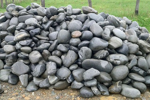 Kamenclub.ru: Темно-серый валунчик фр.100-300 мм.  купить в Петрозаводске крупный природный камень серый, темно-серый, светло-серый речная галька большого размера окатанная 4500 руб/т   фото КАМЕНЬ КЛУБ