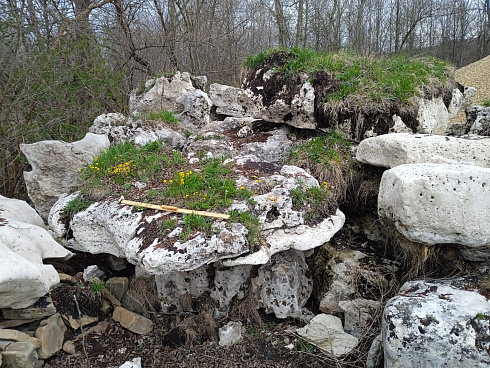 Kamenclub.ru: Выветренный известняк со мхом фр. 100-500 мм.  купить в Петрозаводске известняк серый белый зеленый валун известняковый крупный 10000 руб/т   фото КАМЕНЬ КЛУБ