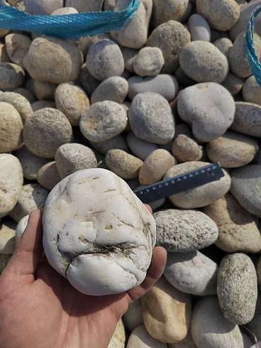 Kamenclub.ru: Галька речная окат (серо-белая) фр. 70-120 мм купить  в Петрозаводске галька галечник бело-серая, серо-белая, серая, белая речная природная галька  8000 руб/т   фото КАМЕНЬ КЛУБ