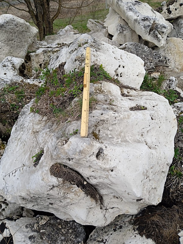 Kamenclub.ru: Выветренный известняк со мхом фр. 100-500 мм.  купить в Петрозаводске известняк серый белый зеленый валун известняковый крупный 10000 руб/т   фото КАМЕНЬ КЛУБ