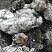 Kamenclub.ru: Черный гранит - кварцит фр. 100-500 мм.  купить в Петрозаводске мрамор гранит черный с белыми прожилками, серый, белый валун скальный колотый 7000 руб/т   фото КАМЕНЬ КЛУБ