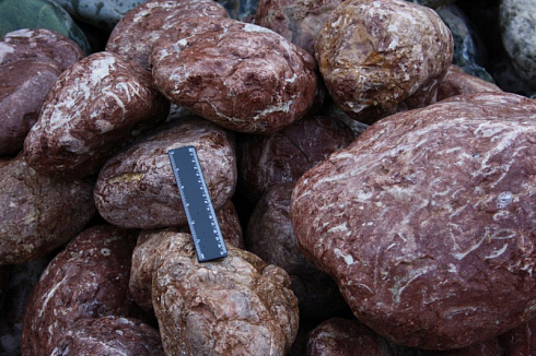 Kamenclub.ru: Розовый валунчик фр.100-300 мм.  купить в Петрозаводске крупный природный камень розовый, серый молочный красный речной галечник природный 7850 руб/т   фото КАМЕНЬ КЛУБ