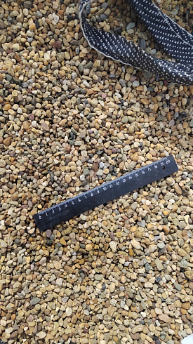 Kamenclub.ru: Галька окат (серо-желтая) фр.5-10 мм. купить  в Петрозаводске галька речная рыжий, желтый, рыжий, серо-желтый речная окатанная галька декоративная 5000 руб/т   фото КАМЕНЬ КЛУБ