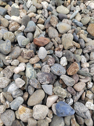 Kamenclub.ru: Галька речная окат (серая) фр.10-20 мм купить  в Петрозаводске галька речная серая, серый, темно-серый, светло-серый, коричневый ландшафтная декоративная речная окатанная округлая галька 5000 руб/т   фото КАМЕНЬ КЛУБ