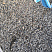 Kamenclub.ru: Галька речная окат (серая) фр.3-5 мм купить  в Петрозаводске галька речная серая бежевый темно-серый окатанный речной камень округлый 9500 руб/т   фото КАМЕНЬ КЛУБ