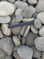 Kamenclub.ru: Галька речная плоская (ассорти) фр. 70-150 мм. купить в Петрозаводске галька галечник серый белый темно-серый синий светло-серый плоская природная галька  9000 руб/т   фото КАМЕНЬ КЛУБ