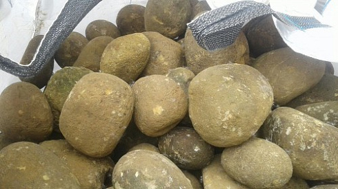 Kamenclub.ru: Песчаник ядра, фр. 100-300 мм  купить в Петрозаводске песчаник бежевый серый рыжий речная галька 5 000 руб/т   фото КАМЕНЬ КЛУБ