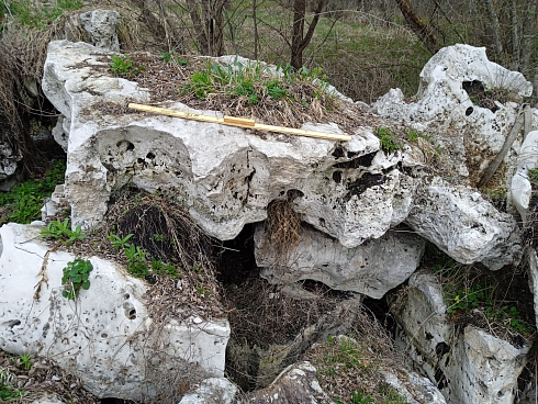 Kamenclub.ru: Выветренный известняк со мхом фр. 100-500 мм.  купить в Петрозаводске известняк серый белый зеленый валун известняковый крупный 10000 руб/т   фото КАМЕНЬ КЛУБ