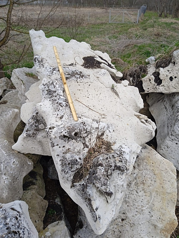 Kamenclub.ru: Выветренный известняк со мхом фр. 100-500 мм.  купить в Петрозаводске известняк серый белый зеленый валун известняковый крупный 10000 руб/т   фото КАМЕНЬ КЛУБ