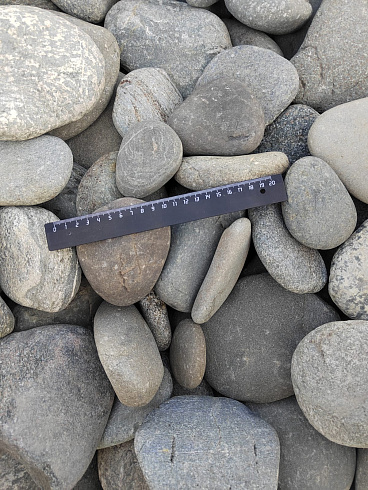 Kamenclub.ru: Галька речная плоская (ассорти) фр. 70-150 мм. купить  в Петрозаводске галька галечник серый белый темно-серый синий светло-серый плоская природная галька  9000 руб/т   фото КАМЕНЬ КЛУБ