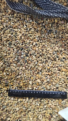 Kamenclub.ru: Галька окат (серо-желтая) фр.5-10 мм. купить  в Петрозаводске галька речная рыжий, желтый, рыжий, серо-желтый речная окатанная галька декоративная 5000 руб/т   фото КАМЕНЬ КЛУБ